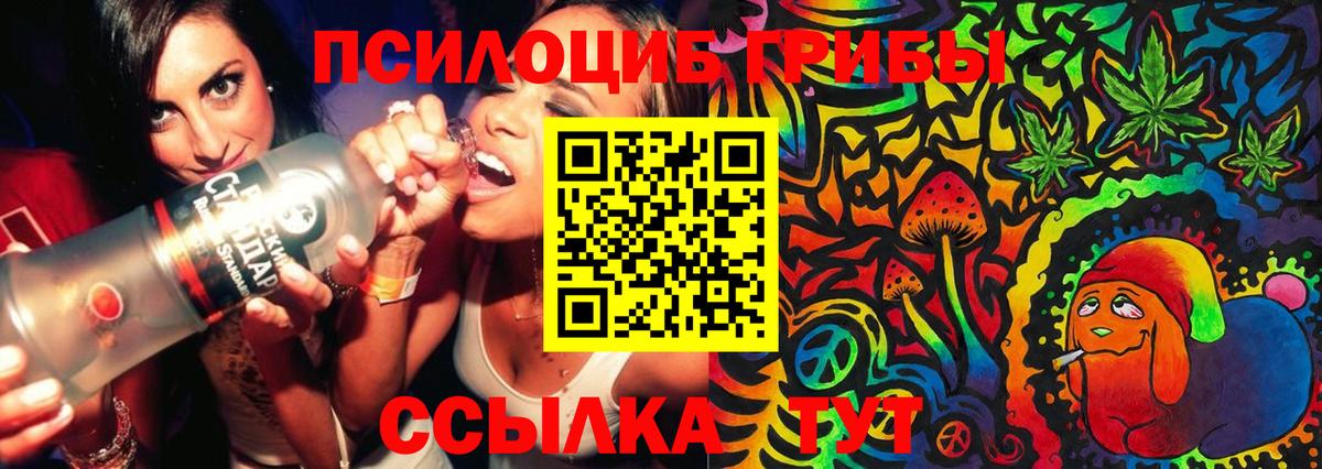 Псилоцибиновые грибы Psilocybe Смоленск